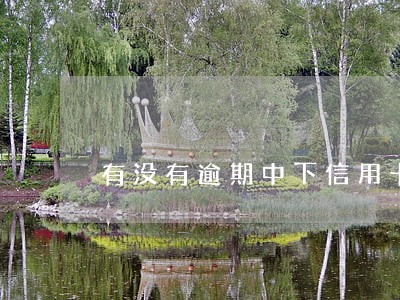 有没有逾期中下信用卡的 有没有逾期中下信用卡的
