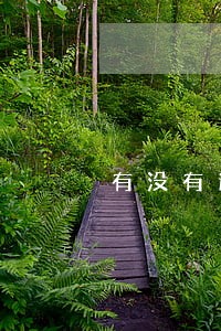 有没有逾期了不打算协商的 有没有逾期了不打算协商的