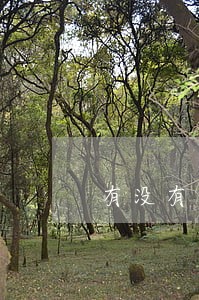 有没有逾期六次贷款成功的 有没有逾期六次贷款成功的