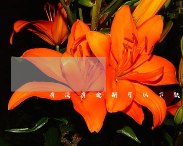 有没有逾期可以下款 有没有逾期可以下款