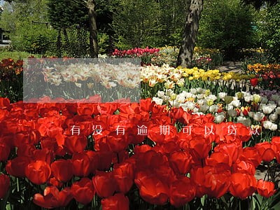 有没有逾期可以贷款 有没有逾期可以贷款