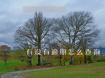 有没有逾期怎么查询 有没有逾期怎么查询
