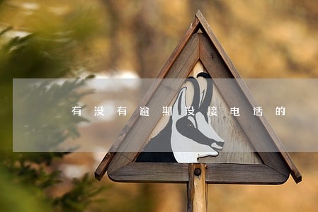 有没有逾期没接电话的 有没有逾期没接电话的