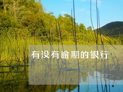 有没有逾期的银行 有没有逾期的银行