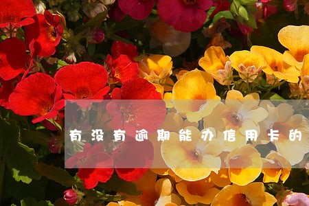 有没有逾期能办信用卡的 有没有逾期能办信用卡的