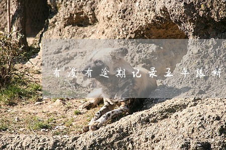 有没有逾期记录五年跟新的人 有没有逾期记录五年跟新的人
