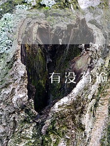 有没有逾期过也能借款的软件 有没有逾期过也能借款的软件