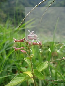 有没有逾期过也能贷款的软件 有没有逾期过也能贷款的软件