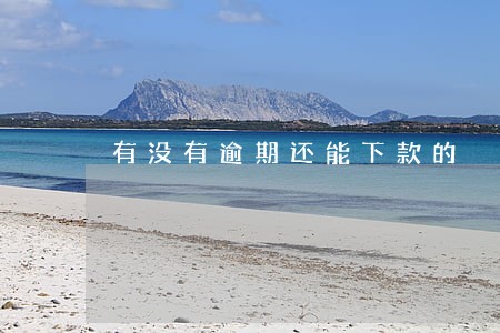 有没有逾期还能下款的 有没有逾期还能下款的