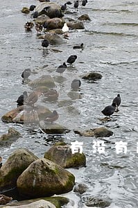 有没有部门或法律管哪 有没有部门或法律管哪