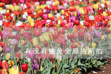 有没有钱兔金服逾期的 有没有钱兔金服逾期的