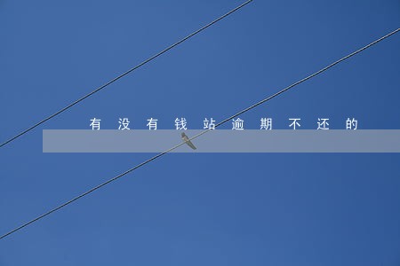 有没有钱站逾期不还的 有没有钱站逾期不还的