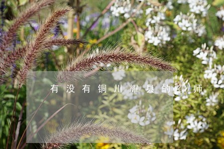 有没有铜川耀县的律师 有没有铜川耀县的律师
