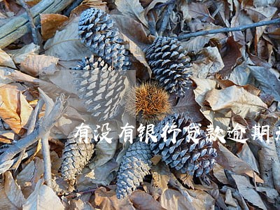 有没有银行贷款逾期未还的 有没有银行贷款逾期未还的