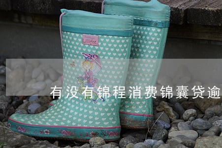 有没有锦程消费锦囊贷逾期的 有没有锦程消费锦囊贷逾期的