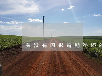 有没有闪银逾期不还的