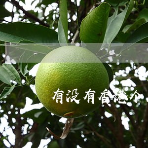 有没有香港个人报税逾期 有没有香港个人报税逾期