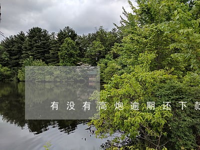 有没有高炮逾期还下款了的