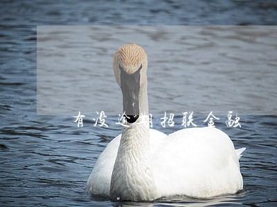 有没逾期招联金融 有没逾期招联金融