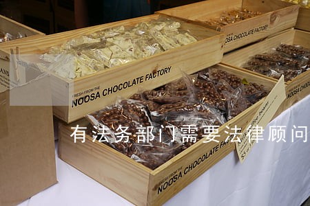 有法务部门需要法律顾问