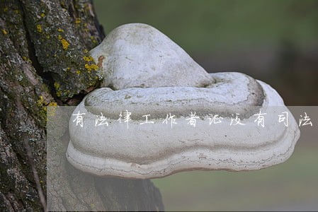 有法律工作者证没有司法考试过关 有法律工作者证没有司法考试过关