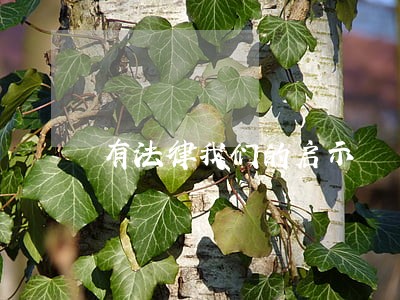 有法律我们的启示 有法律我们的启示