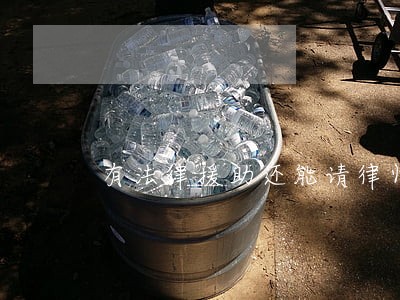 有法律援助还能请律师吗