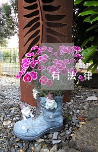 有法律职业资格证就可以当律师 有法律职业资格证就可以当律师