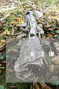 有法律达人么 有法律达人么