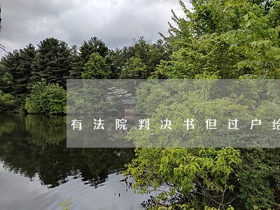 有法院判决书但过户给别人 有法院判决书但过户给别人