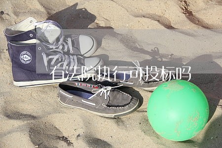 有法院执行可投标吗