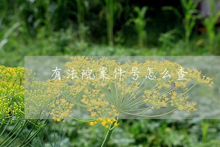 有法院案件号怎么查 有法院案件号怎么查