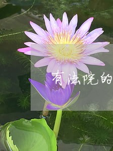 有法院的调解书和生效证明 有法院的调解书和生效证明