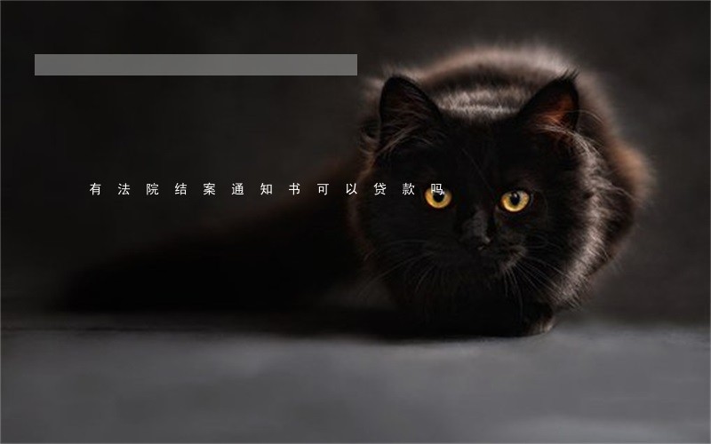 有法院结案通知书可以贷款吗