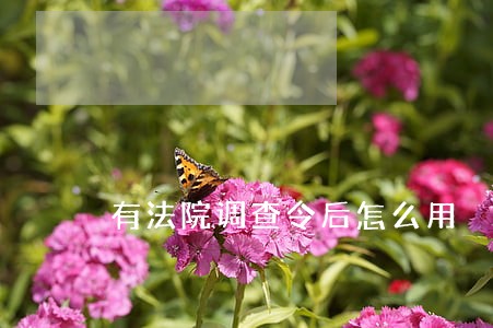 有法院调查令后怎么用 有法院调查令后怎么用
