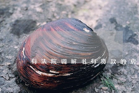 有法院调解书有贷款的房子过户 有法院调解书有贷款的房子过户