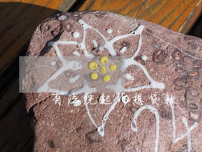 有法院起诉想贷款
