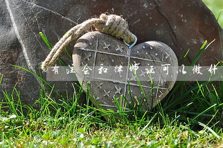 有注会和律师证可以做什么工作吗 有注会和律师证可以做什么工作吗