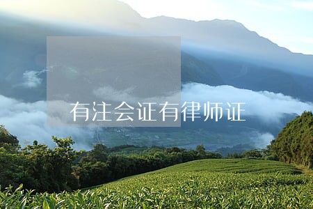 有注会证有律师证 有注会证有律师证