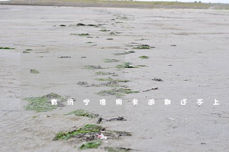 有济宁信用卡逾期还不上的吗 有济宁信用卡逾期还不上的吗