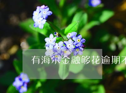 有海尔金融够花逾期不还的吗 有海尔金融够花逾期不还的吗