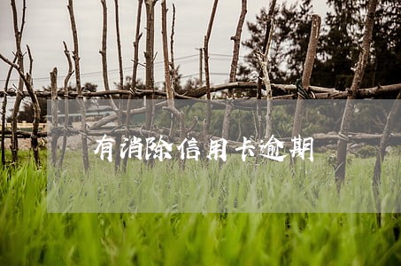 有消除信用卡逾期 有消除信用卡逾期