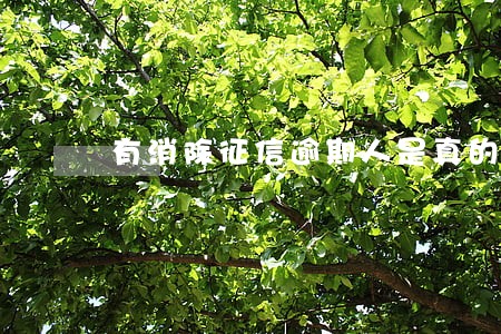 有消除征信逾期人是真的吗 有消除征信逾期人是真的吗