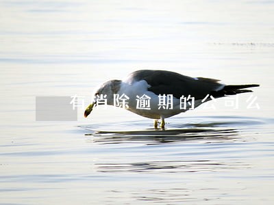 有消除逾期的公司么 有消除逾期的公司么
