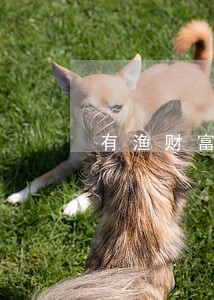 有渔财富逾期 有渔财富逾期