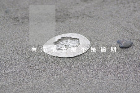有滞纳金是不是逾期 有滞纳金是不是逾期