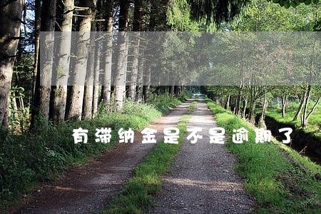 有滞纳金是不是逾期了 有滞纳金是不是逾期了