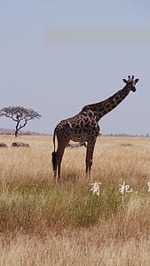 有犯罪前科信用卡又有逾期