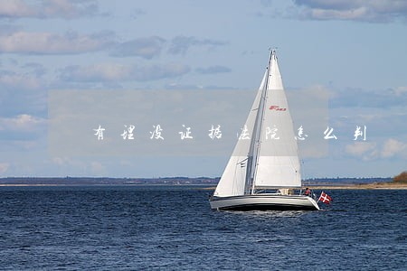 有理没证据法院怎么判 有理没证据法院怎么判