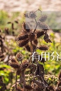 有用分期代扣逾期 有用分期代扣逾期